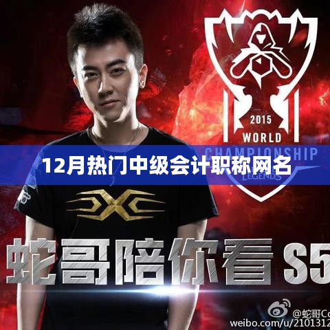 中级会计职称考试热门网名大盘点