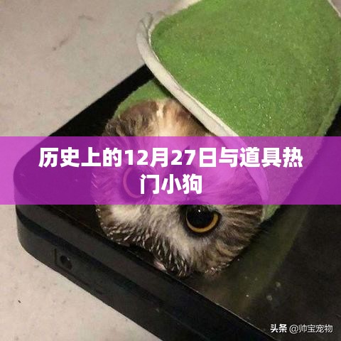 历史上的大事件与道具小狗，揭秘十二月二十七日背后的故事