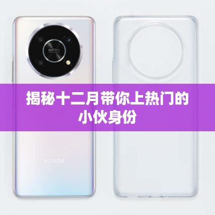 揭秘十二月热门小伙的真实身份