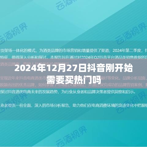抖音热门推广策略，从起步到成熟之路