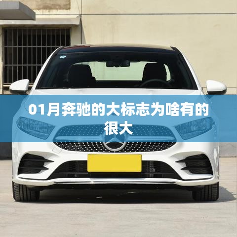 奔驰大标志设计背后的原因解析
