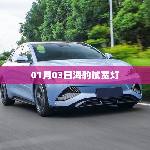 海豹试宽灯，最新动态揭秘