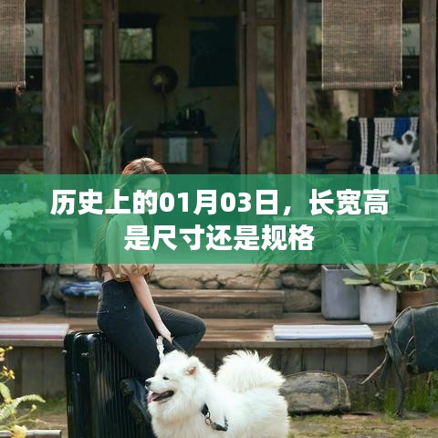历史上的大事件，尺寸与规格之争在01月03日揭晓
