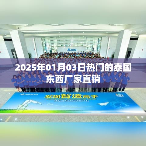 泰国厂家直销盛宴，2025年1月3日抢购热潮