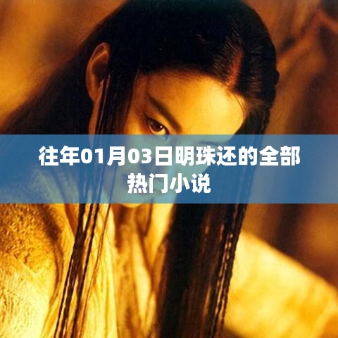 明珠热门小说推荐，精选历年元旦前后热门佳作