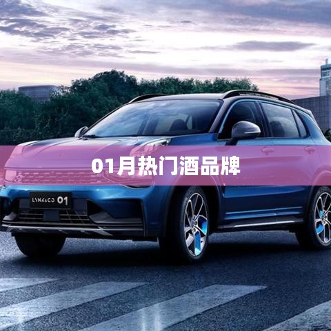 热门酒品牌榜单揭晓，一月份精选推荐