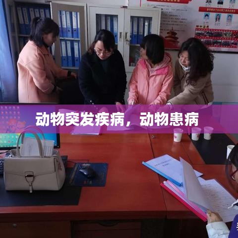 动物突发疾病，动物患病 