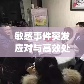 敏感事件突发应对与高效处理策略