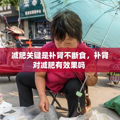减肥关键是补肾不断食，补肾对减肥有效果吗 