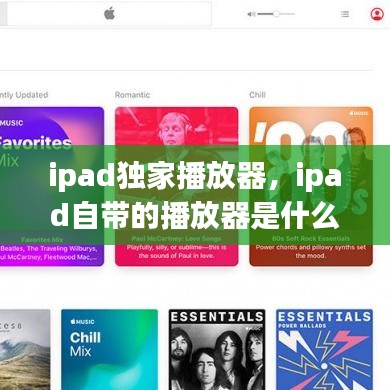 ipad独家播放器，ipad自带的播放器是什么 