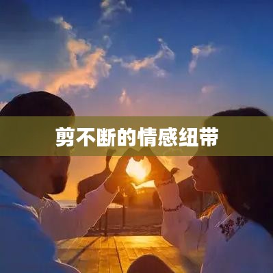 剪不断的情感纽带
