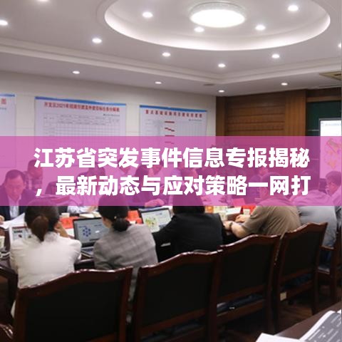 江苏省突发事件信息专报揭秘，最新动态与应对策略一网打尽