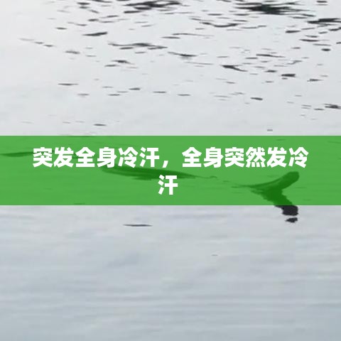 突发全身冷汗，全身突然发冷汗 