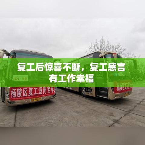 复工后惊喜不断，复工感言 有工作幸福 