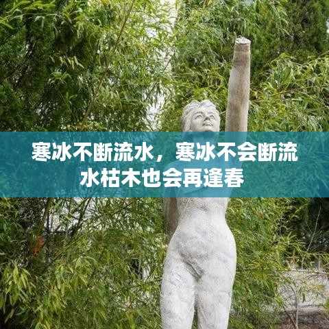 比翼鸟 第2页