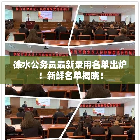 徐水公务员最新录用名单出炉！新鲜名单揭晓！