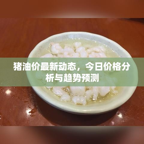 猪油价最新动态，今日价格分析与趋势预测