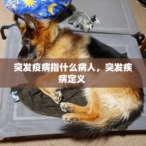 突发疫病指什么病人，突发疾病定义 