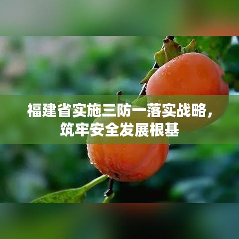 福建省实施三防一落实战略，筑牢安全发展根基