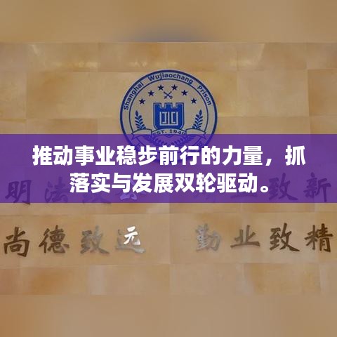 推动事业稳步前行的力量，抓落实与发展双轮驱动。