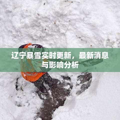 辽宁暴雪实时更新，最新消息与影响分析