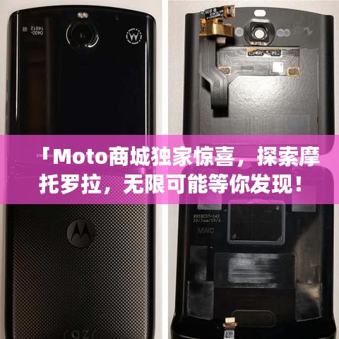 急就章 第2页