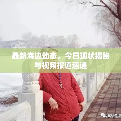 最新海边动态，今日现状揭秘与视频报道速递
