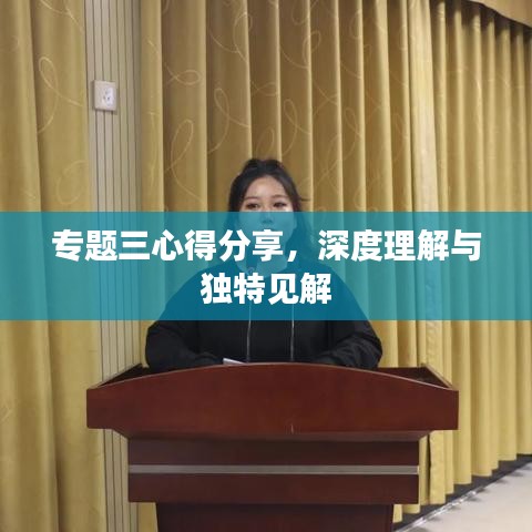 专题三心得分享，深度理解与独特见解