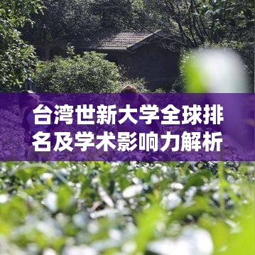 台湾世新大学全球排名及学术影响力解析