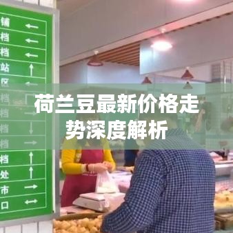 荷兰豆最新价格走势深度解析