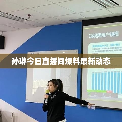孙琳今日直播间爆料最新动态