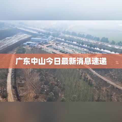 广东中山今日最新消息速递