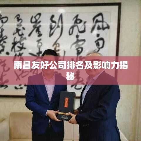 南昌友好公司排名及影响力揭秘