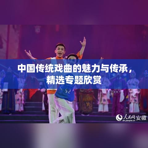 中国传统戏曲的魅力与传承，精选专题欣赏