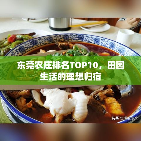 东莞农庄排名TOP10，田园生活的理想归宿