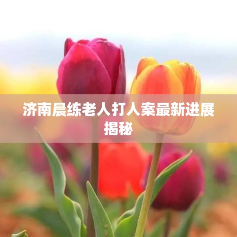 济南晨练老人打人案最新进展揭秘