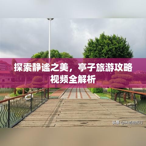 探索静谧之美，亭子旅游攻略视频全解析