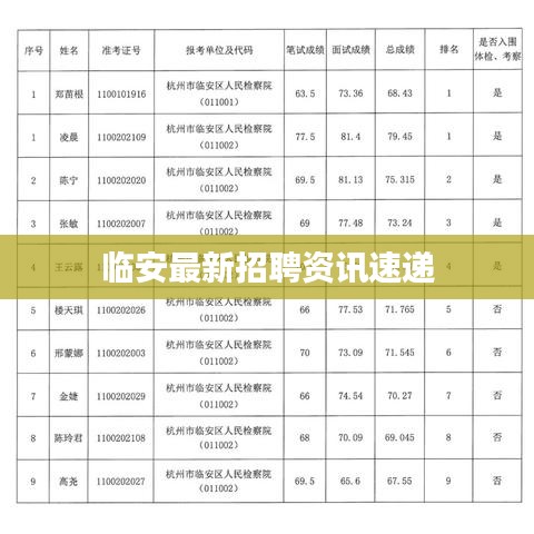 临安最新招聘资讯速递