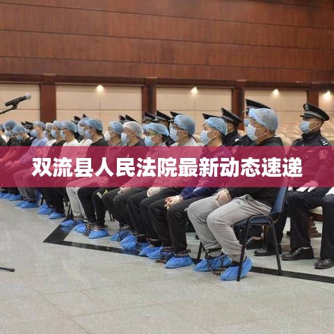 双流县人民法院最新动态速递