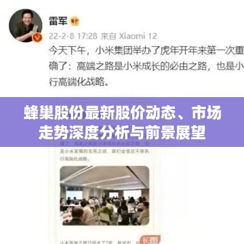 蜂巢股份最新股价动态、市场走势深度分析与前景展望
