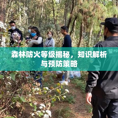 森林防火等级揭秘，知识解析与预防策略