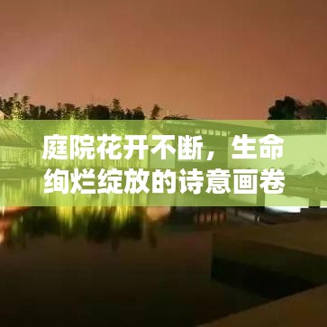庭院花开不断，生命绚烂绽放的诗意画卷