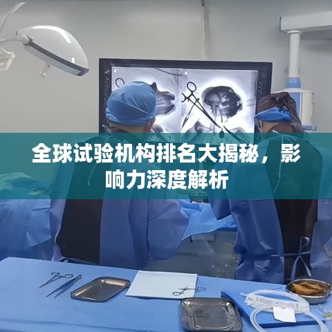 全球试验机构排名大揭秘，影响力深度解析