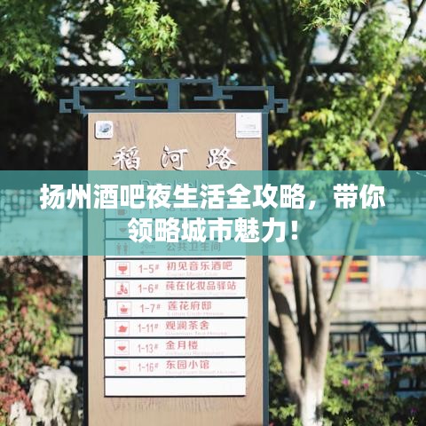 扬州酒吧夜生活全攻略，带你领略城市魅力！