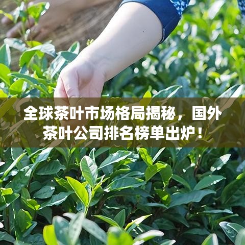 全球茶叶市场格局揭秘，国外茶叶公司排名榜单出炉！