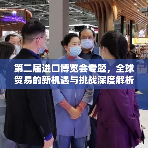 第二届进口博览会专题，全球贸易的新机遇与挑战深度解析