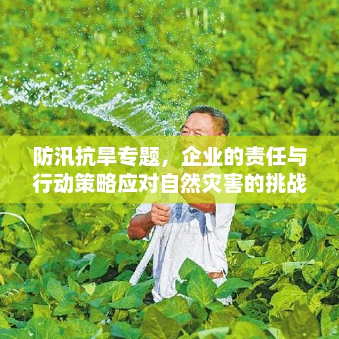 防汛抗旱专题，企业的责任与行动策略应对自然灾害的挑战