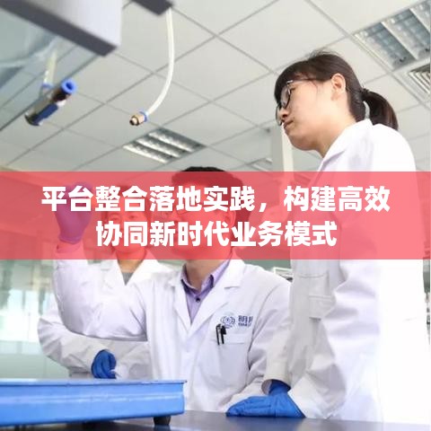 平台整合落地实践，构建高效协同新时代业务模式