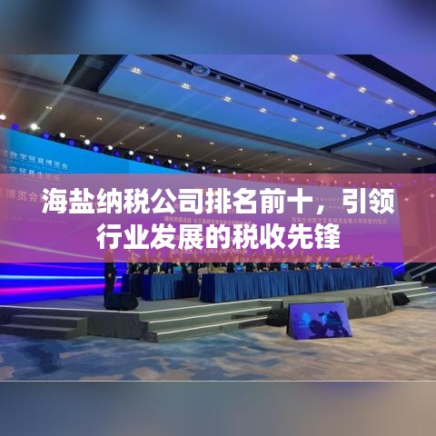 海盐纳税公司排名前十，引领行业发展的税收先锋