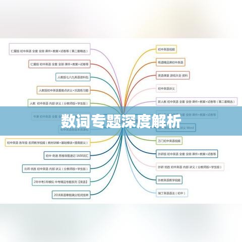 数词专题深度解析